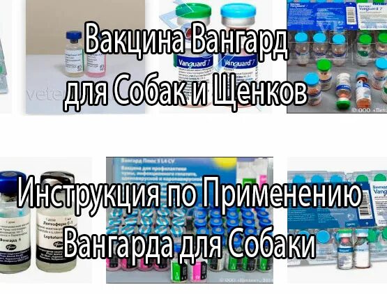 Вангард 5 инструкция. Вангард вакцина для собак. Вангард 7 -4 вакцины для собак. Вакцина Вангард 5. Схема вакцинации Вангард 7.