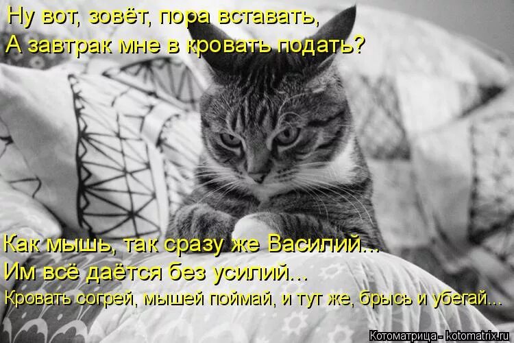 утро пора вставать. надо вставать. открытки пора вставать. пора вставать слушать. гарфилд понедельник.
