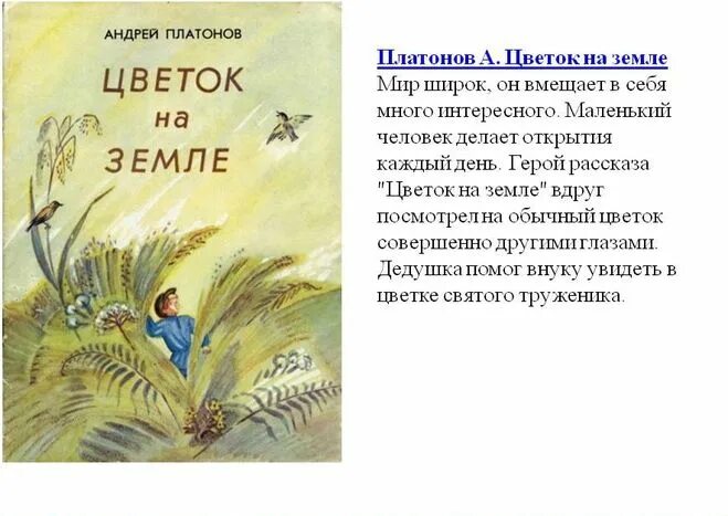 Читательский дневник еще мама. Цветок на земле Платонов. А П Платонов цветок на земле. Произведение цветок на земле а Платонов.