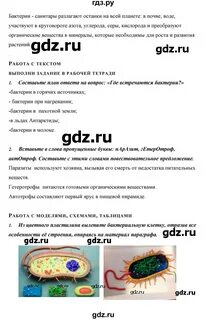 Биология 5 класс параграф 17 вопросы