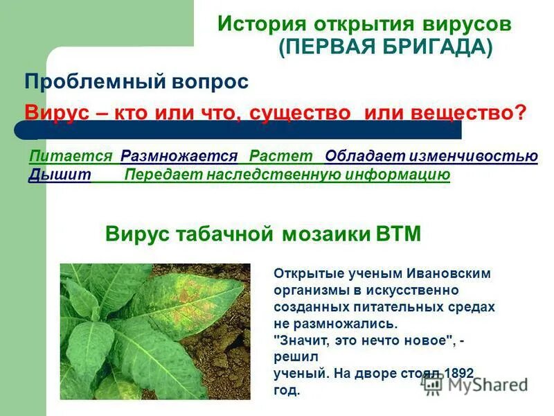 вирусные вопросы