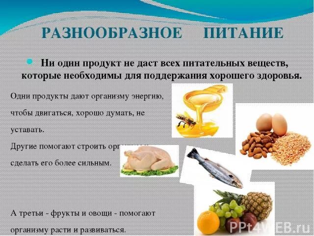 Что такое дал продукт. Что такое дал продукт