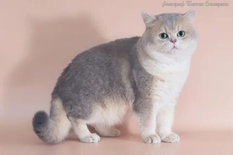 21 33
