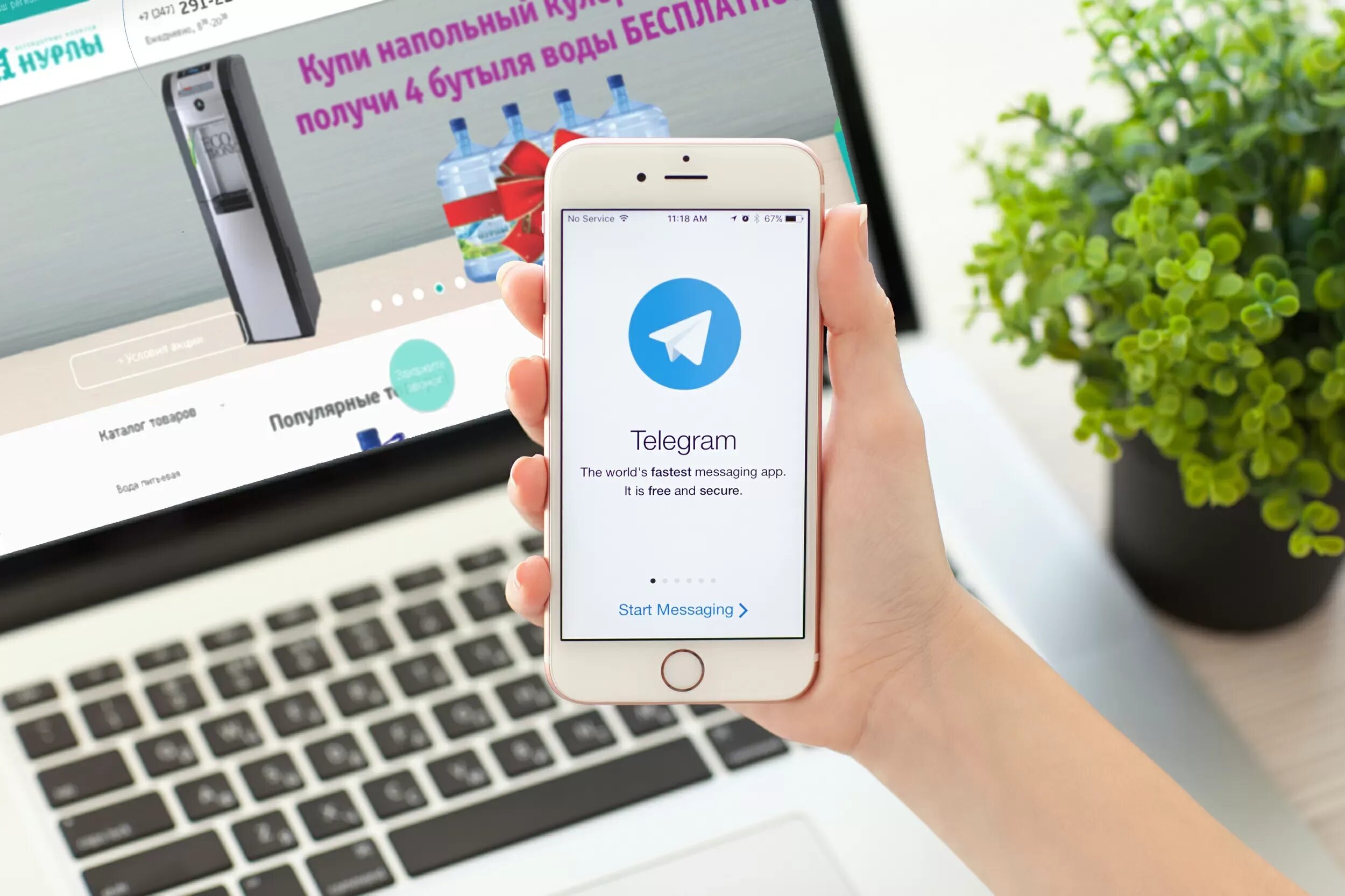 Идеи для фото дня в telegram Телеграм пал