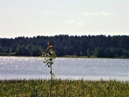 Пирос
