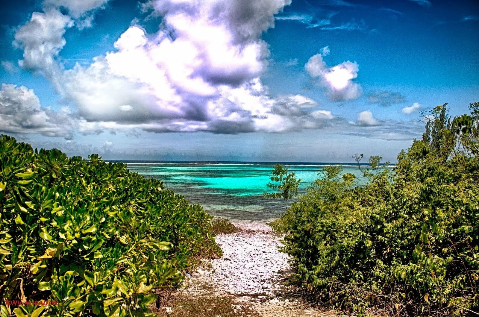 Молдова каймановы. Остров Кайман Гранди. Джорджтаун (острова Кайман). Остров Grand Cayman. Большой Кайман Каймановы острова.