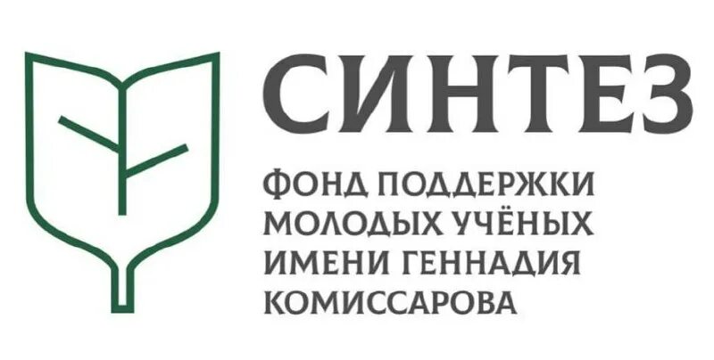 Очный фонд. Синтез фонд Комиссарова. Фонд поддержки молодых ученых имени Геннадия Комиссарова. Фонд поддержки молодежи. Фонд Синтез логотип.