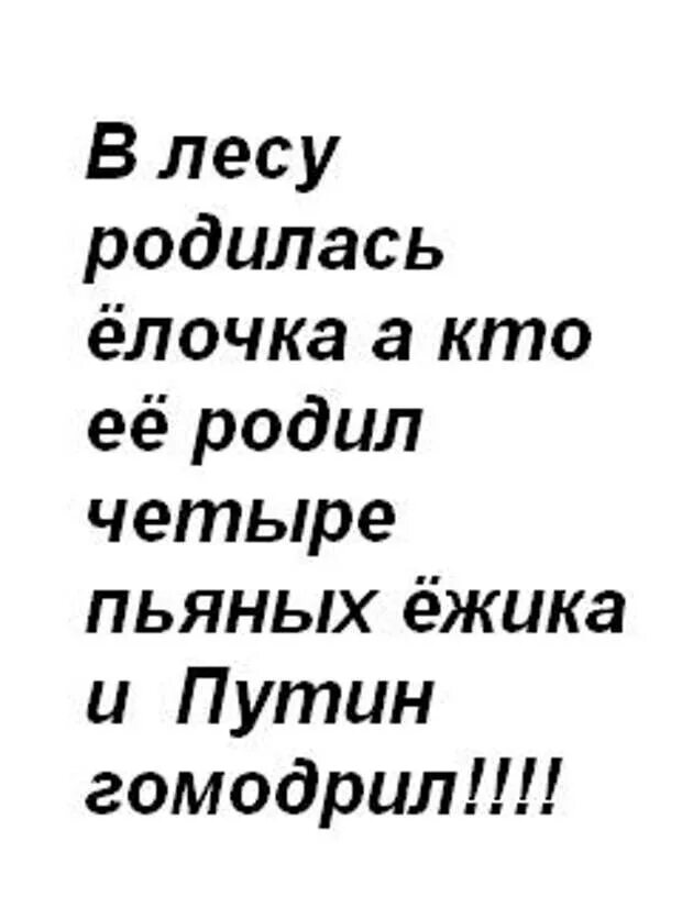 Четыре пьяных ежика и крокодил. В лесу родилась ёлочка а кто её родил. Стих в лесу родилась елочка а кто ее родил. Шутки про в лесу родилась елочка. Стишок в лесу родилась елочка а кто ее родил.