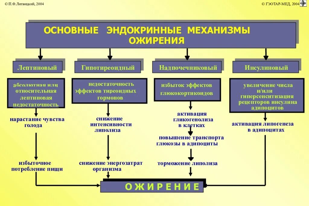 Анализ эндокринологии. Механизмы развития ожирения патофизиология. Ожирение формы механизмы развития. Патогенез ожирения эндокринология. Патогенез эндокринного ожирения.