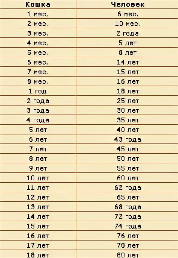 Кошачий Возраст по человеческим меркам таблица. 1 Год кошке по человеческим меркам. Таблица сколько лет кошке по человеческим. Коту 1 год сколько это по человеческим меркам таблица. 6 месяцев кошке сколько