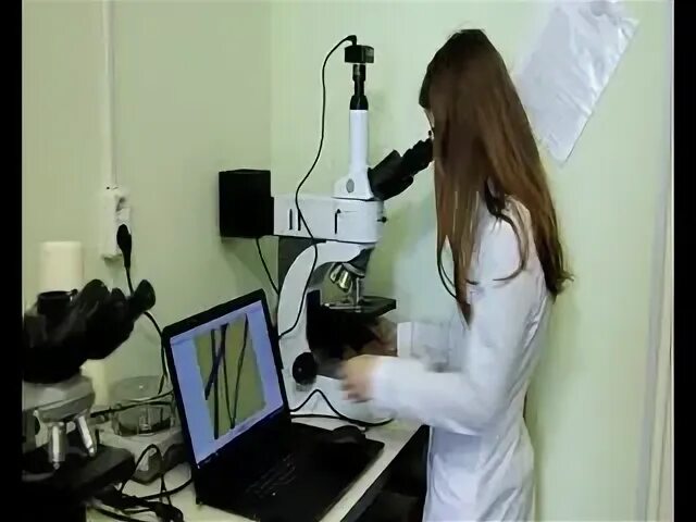 Экспертиза 2020