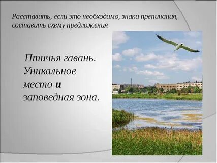 Гавань предложение