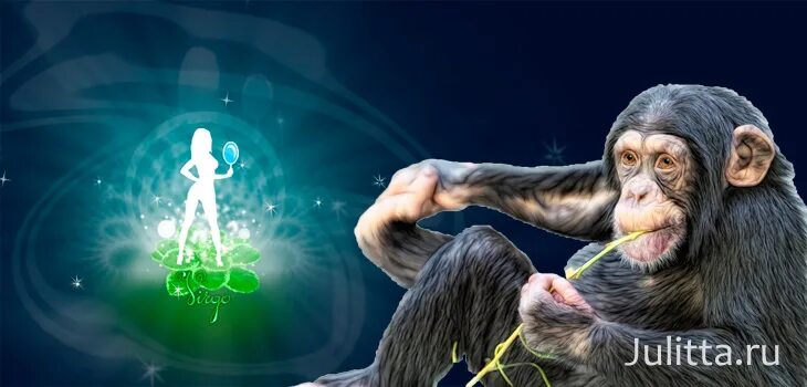 гороскоп по годам совместимость. дева женщина характеристика год обезьяны. носач самка и самец. дева обезьяна мужчина. дева обезьяна.