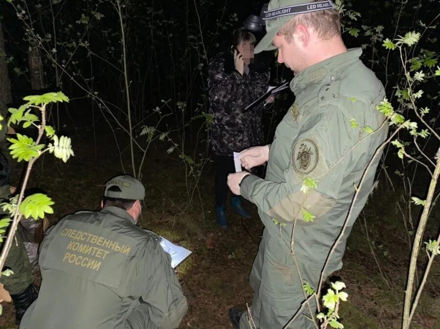 12 убийц. Фотографии с места происшествия. убийство мужчины в большом козино. в нижегородской области поймали убийцу. происшествия в козино нижегородской области.