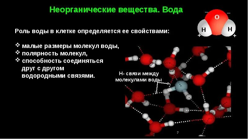 Неорганические вещества хим состав строение. Неорганические вещества клетки вода. Выберите из списка неорганические вещества клетки