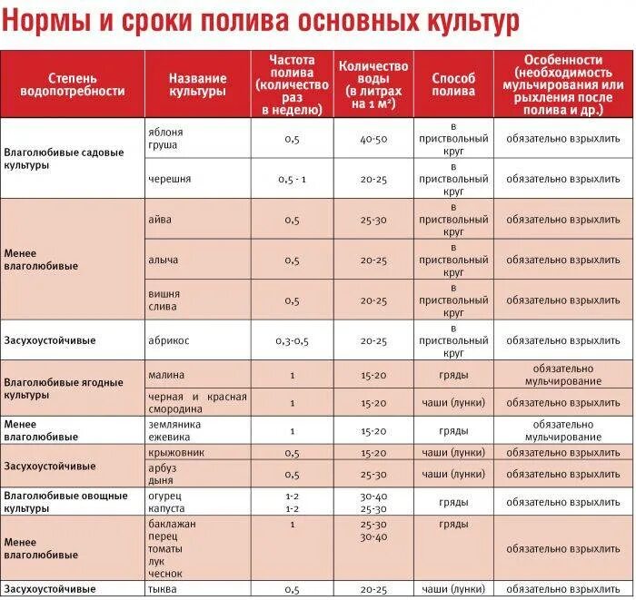 Количество воды для полива. Частота полива овощей таблица. Периодичность полива овощей в огороде таблица. Нормы полива овощей таблица. Показатели воды для полива растений.