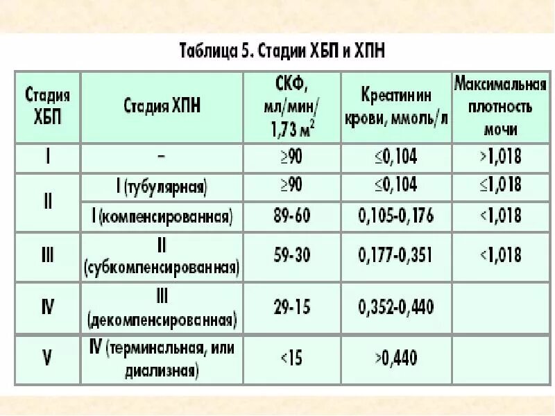 Сколько стадий хпн. Хроническая печёночная недостаточность стадии. Нарушение функции почек степени. Сколько стадий хпн. Степени хронической почечной недостаточности.