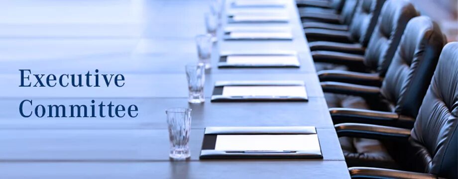 Executive committee. Executive committee. Executive committee. Человечек судья. Executive committee.