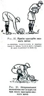 Внизу прием