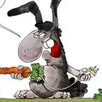 Кролики это не только ценный мех