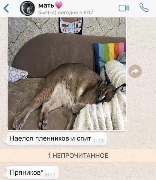 Мем наелся