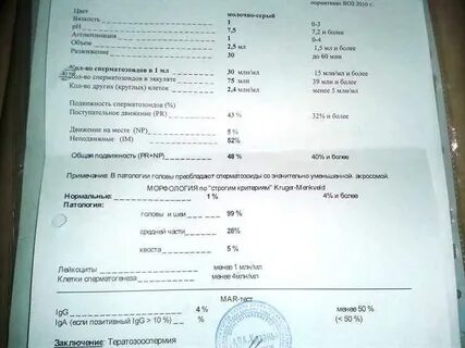 Спермограмма с морфологией по крюгеру