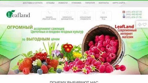 Интернет магазин посадка