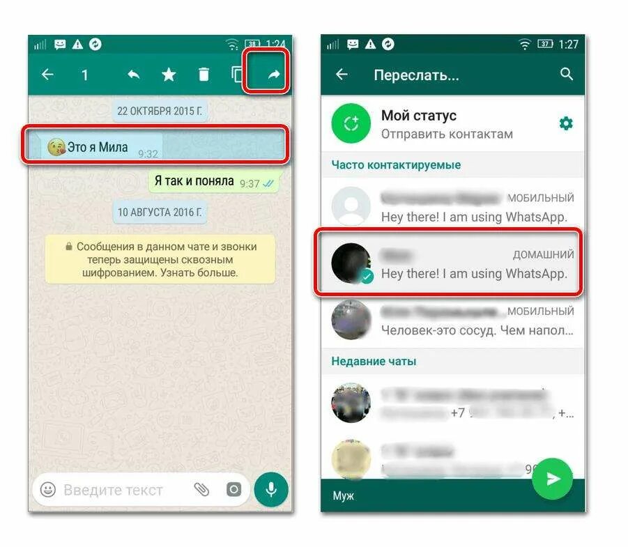 Whatsapp не отправляет фото. Сообщение в ватсапе. как переслать сообщение в ватсапе. сообщение whatsapp. сообщение в вацапе.