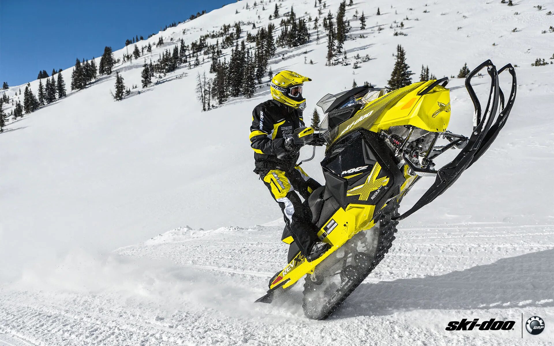 Горный снегоход Ski Doo. Снегоход BRP Ski-Doo Summit. Снегоход БРП Ski Doo Summit. Снегоход Ski Doo MXZ x800r.