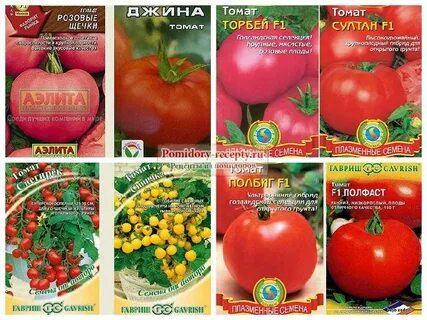 Какие сорта открытого грунта