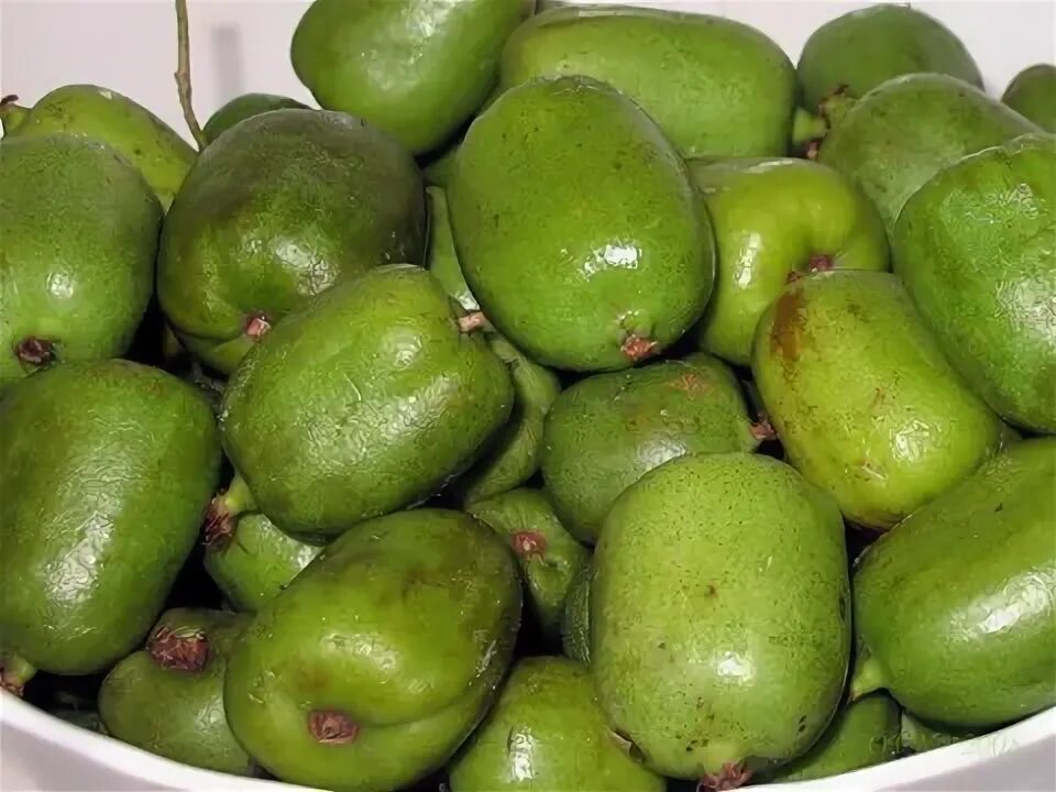 Миш миш фрукт. Дальневосточный кишмиш актинидия. Мушмула японская. Мушмула японская локва. Унаби мушмула.