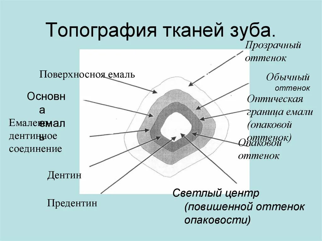 Этот текст размыт и вы не сможете его прочитать.