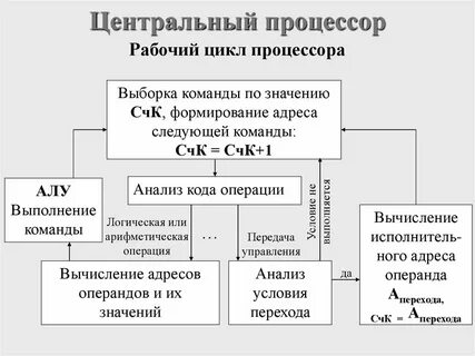 Центральные процессы