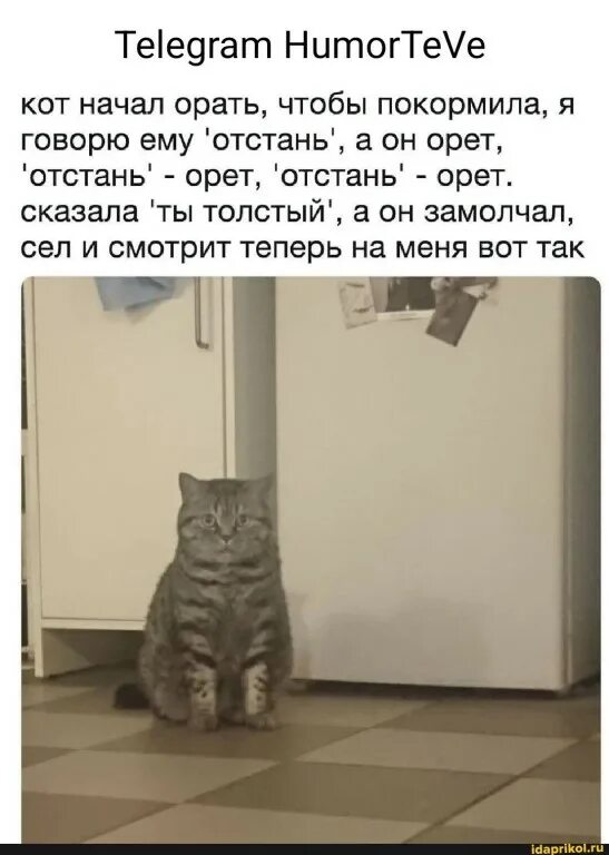 Читать отстань