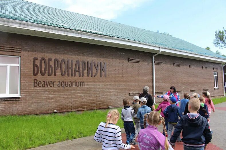 Воронежский биосферный заповедник бобровый городок. Бобровый заповедник воронеж. Воронежский биосферный заповедник бобровый городок. Воронежский биосферный заповедник дом бобра. Бобронариум воронежский заповедник.