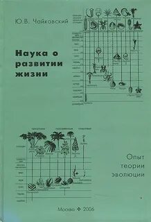 Опыт жизни читать