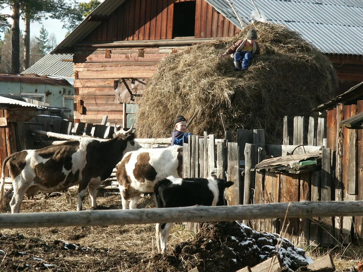 Продажа подсобных хозяйств. Хозяйство в деревне. Подсобное хозяйство в деревне. Своё хозяйство в деревне. Домик в деревне с хозяйством.