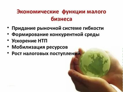 Функции малого и среднего бизнеса