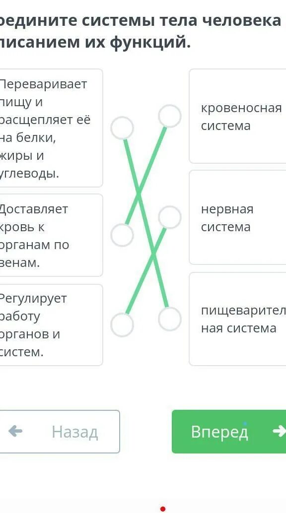 Соедини функции истории и их описание. Соедини линиями органы и их функции. соедините тренды и их описание. соедини функции истории и их описание ответы. переписил система организма ответы?.