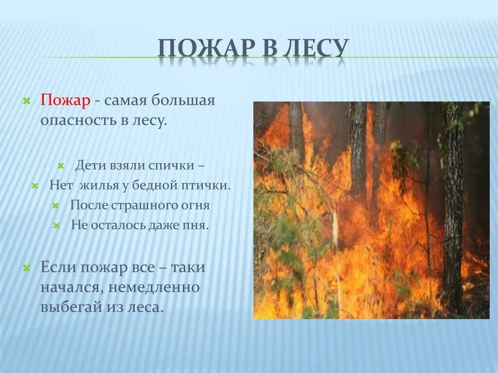 Опасности в лесу. Опасность пожара в лесу. Презентация на тему природные пожары. Пожары в лесах презентация.