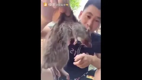 Крысы съели дамбу