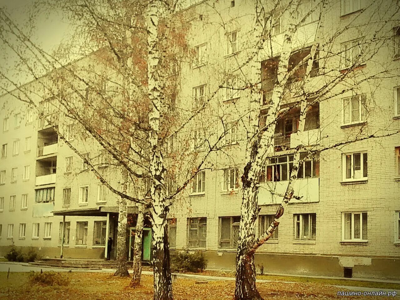 Пашино новосибирск. Квартира 2х комнатная в пашино новосибирск. Ул солидарности 16 новосибирск. Квартира 2х комнатная в пашино новосибирск. Квартира 2х комнатная в пашино новосибирск.