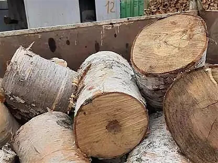 Для отапливания дачного дома закупили березовые дрова