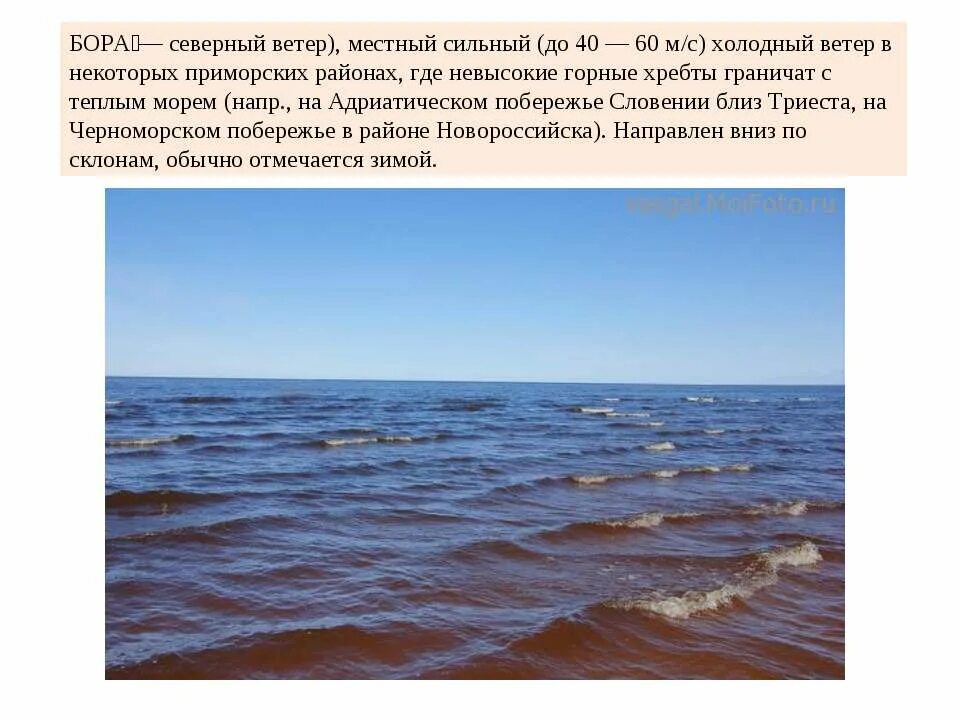 Холодный ветер в приморских районах. Бора (ветер). Ветер Бора доклад. Северный ветер Бора.