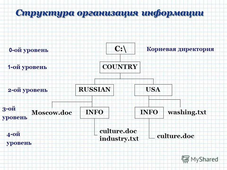 Корневой уровень