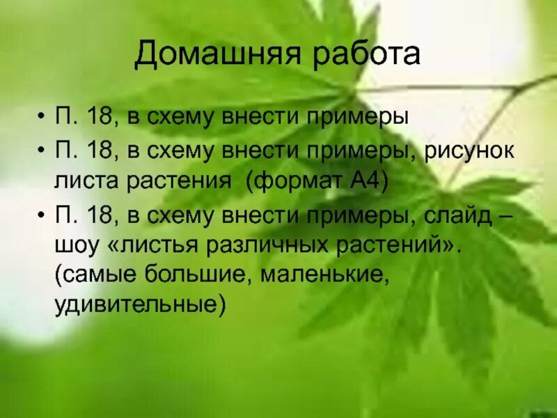 Каждый лист представляет собой. Лист состоит. лист состоит из. у него зелёные листья что это.