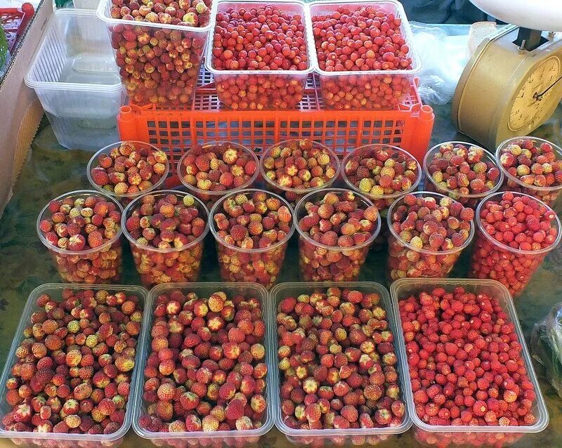 рынок омск улица 70 лет октября. омск магазин оптовик. оптовая база здание. советский рынок омск. торговый город рынок омск.