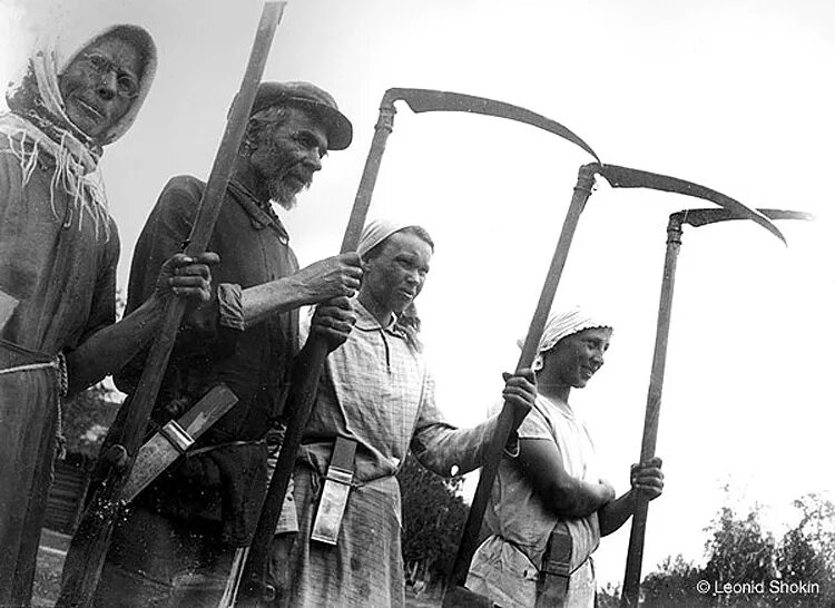 отношение к хозяйству крестьянам. отношение к ведению хозяйства собакевича. отношение к хозяйству крестьянам. отношение манилова к хозяйству к крепостным характеризует его. помещичье хозяйство 19 века.