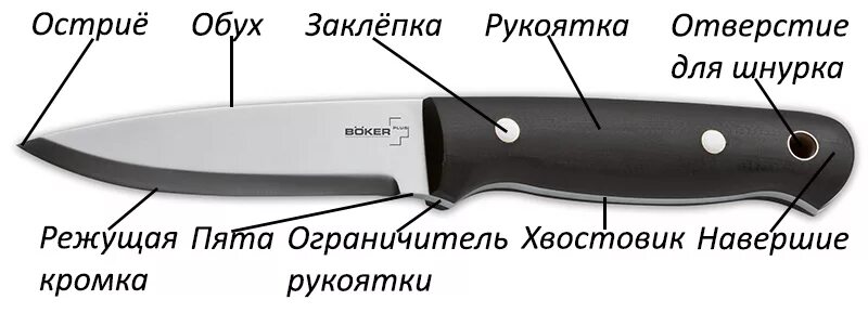 Давление лезвия ножа. Строение ножа криминалистика. Название частей ножа криминалистика. Схема кухонного ножа криминалистика. Строение клинка ножа.