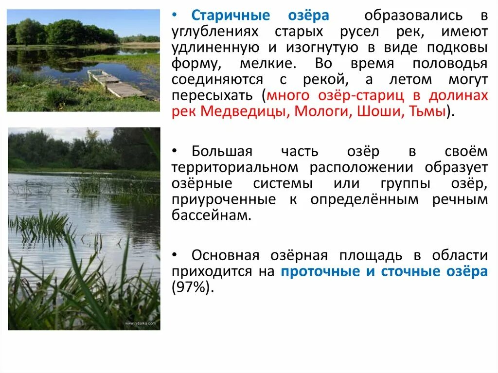 Где появляются озера. Болота Тверской области. Старичные озера происхождение. Озера образуются. Старицы озера образуются.